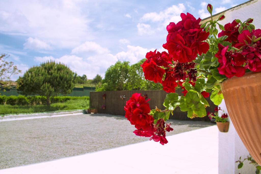 Image of CASAL DO GÓIS