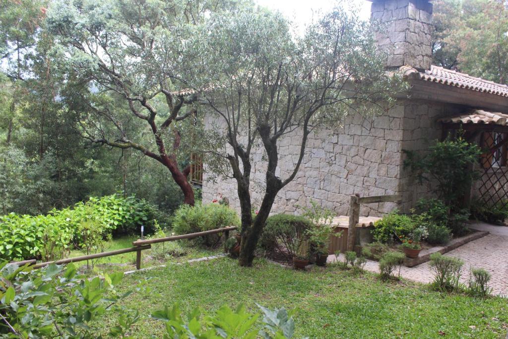 Image of CANTINHO DO BOUÇO VELHO