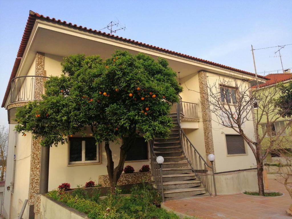 Image of Plena Vita