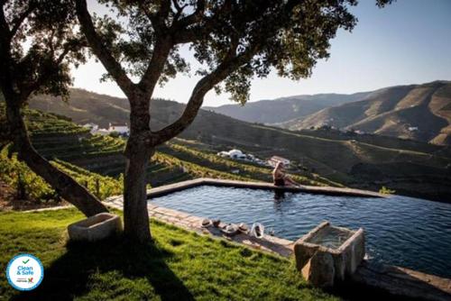 Image of Quinta da Côrte