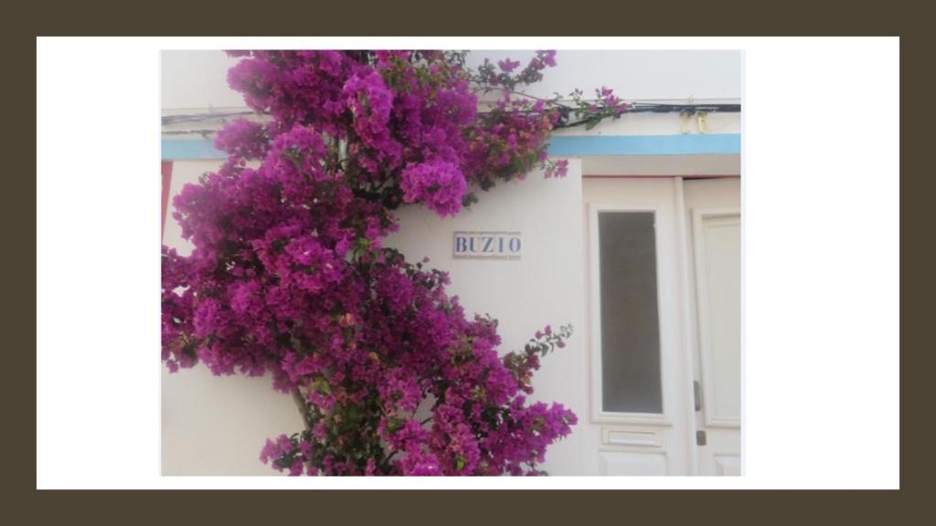 Image of Buzio