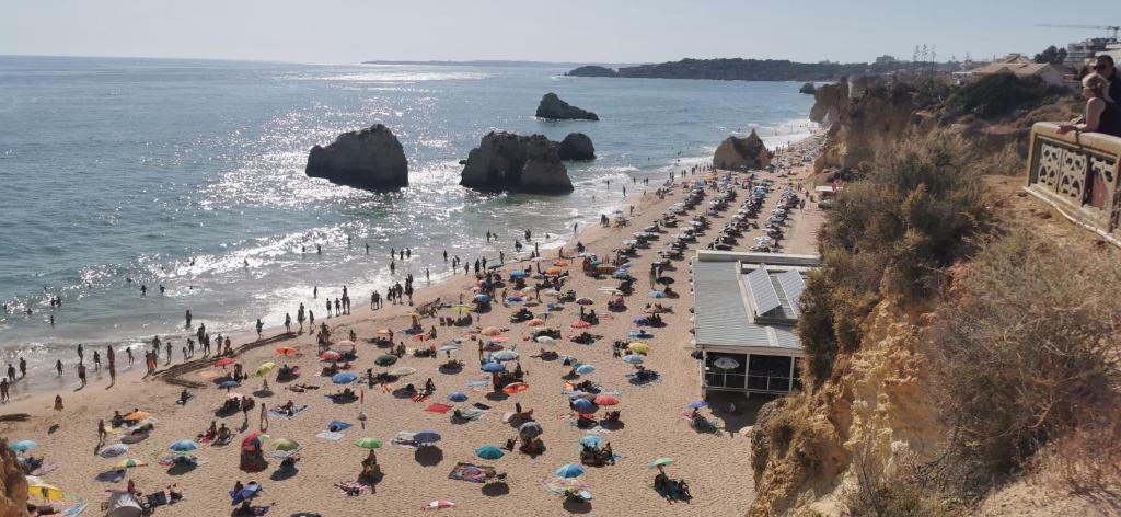 DOM SINDONIO- ALOJAMENTOS ALGARVE