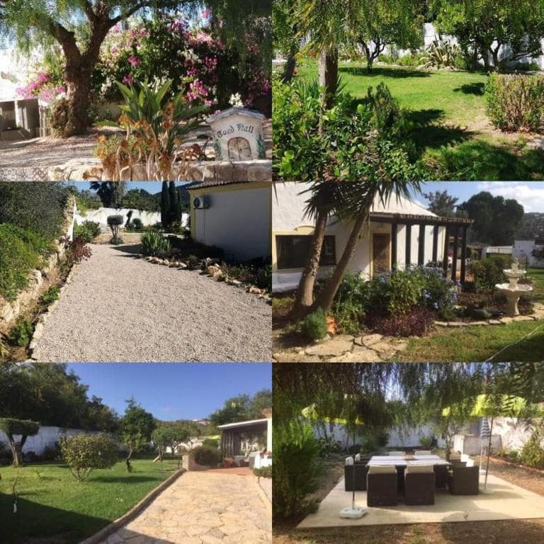 Image of Casa Mimosa Boutique B&B