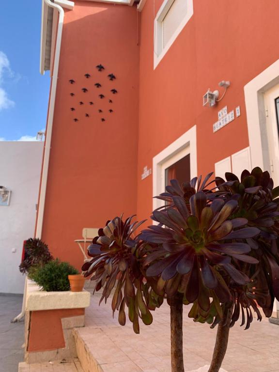 VILA JOSÉ