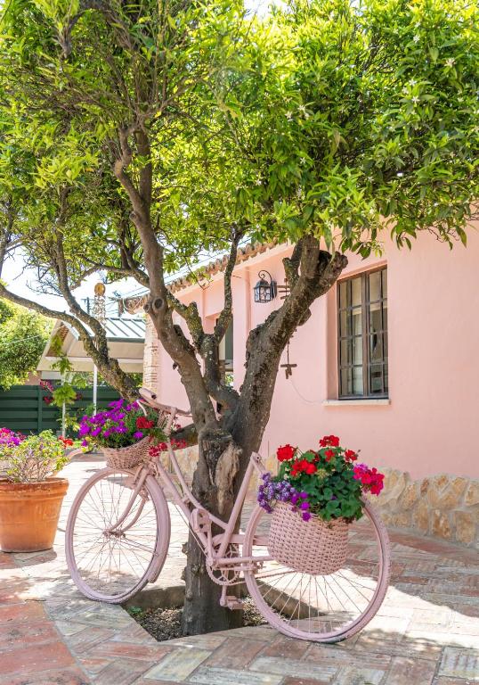 ORCHARD COTTAGE Nº 2