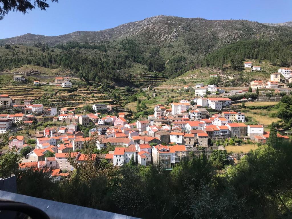 CASA DO VIVEIRO