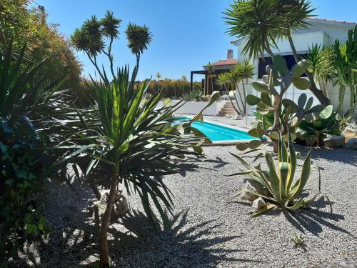 Image of Yuccas House