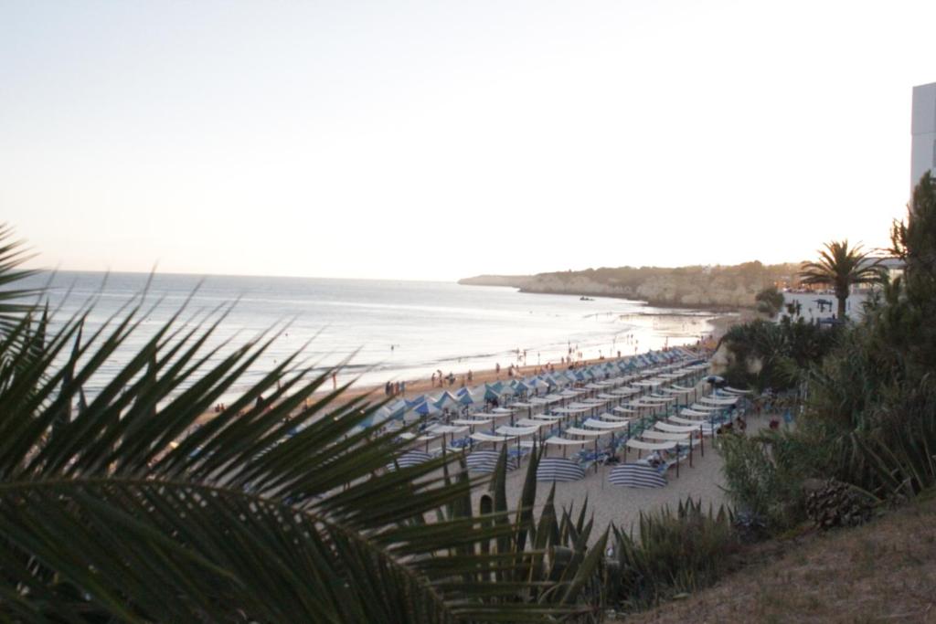 CASA ALGARVE