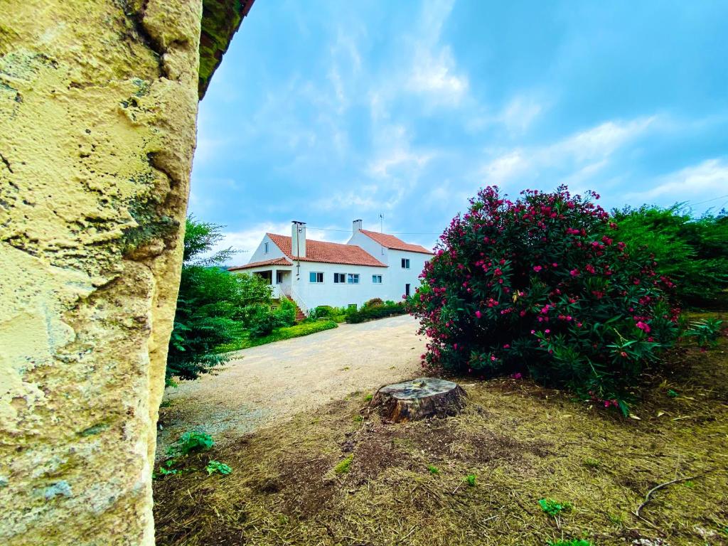 QUINTA DA VERGUEIRA - FIGUEIRÓ DOS VINHOS