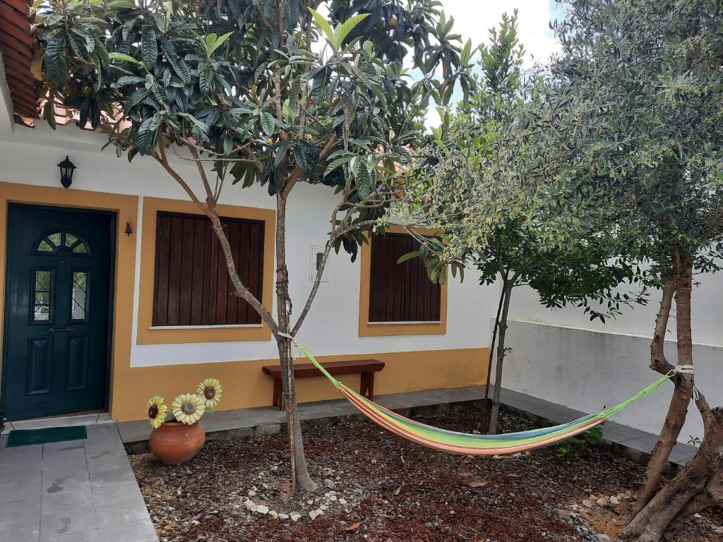 Image of Casa do Zé Actor