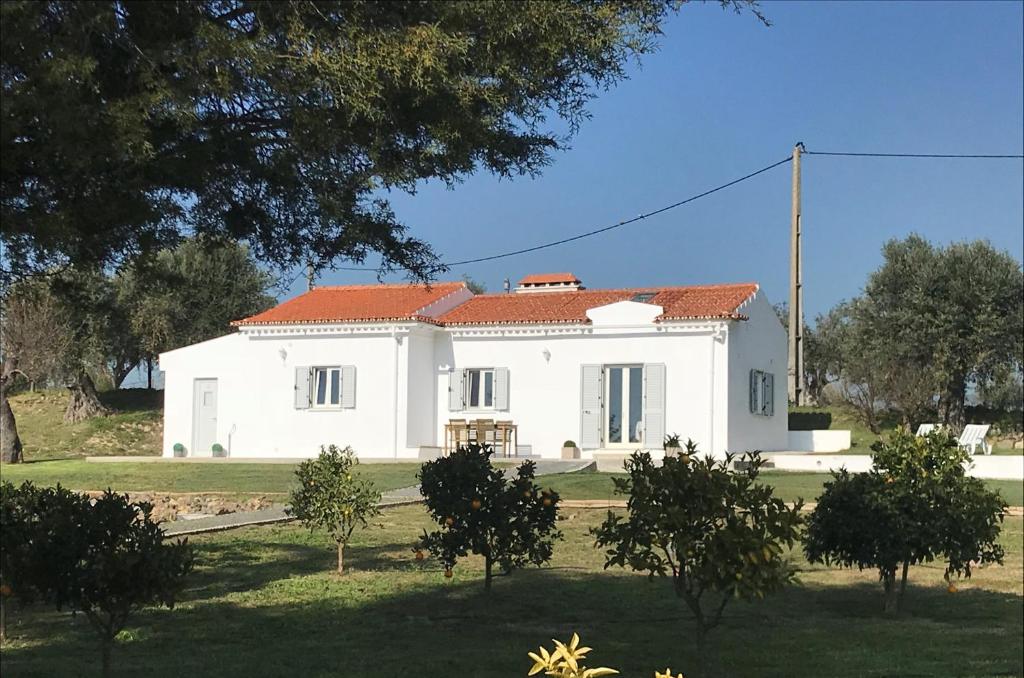 HORTA DA ROSA A