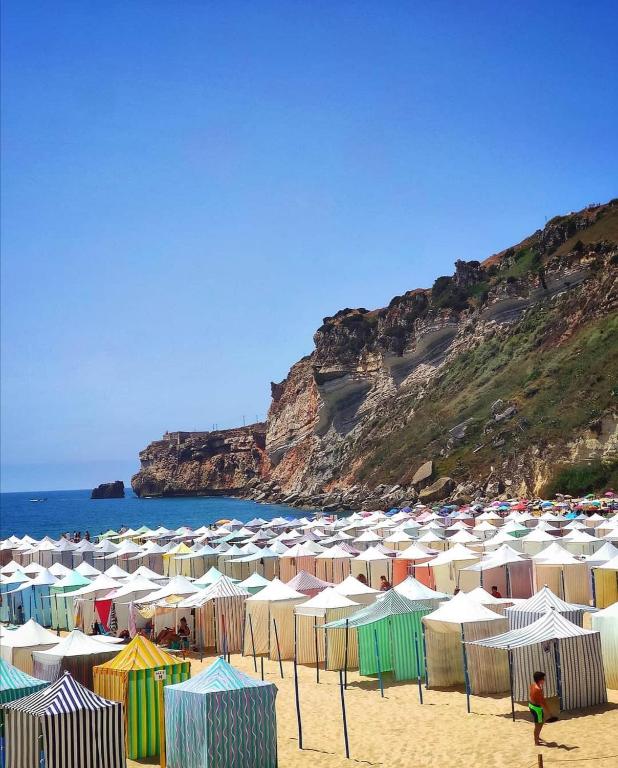 Image of Alojamento Madeira