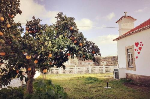 Image of CASA DOS CORAÇÕES