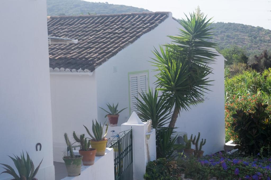 CASA DA CABEÇA