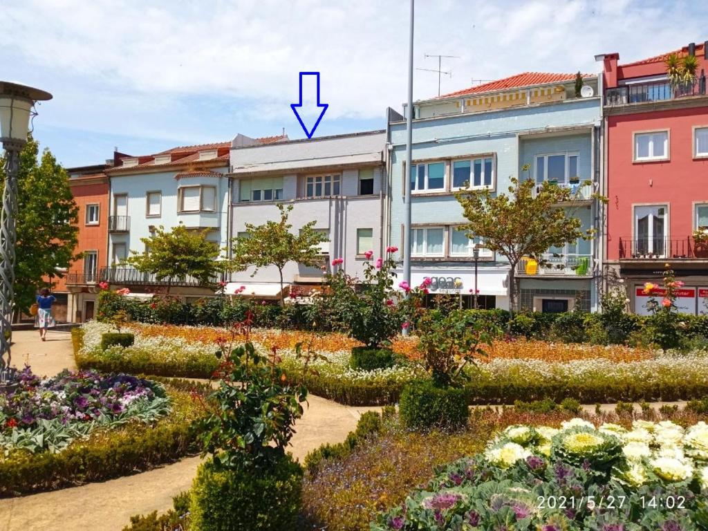 SASIMI NICE HOSTEL