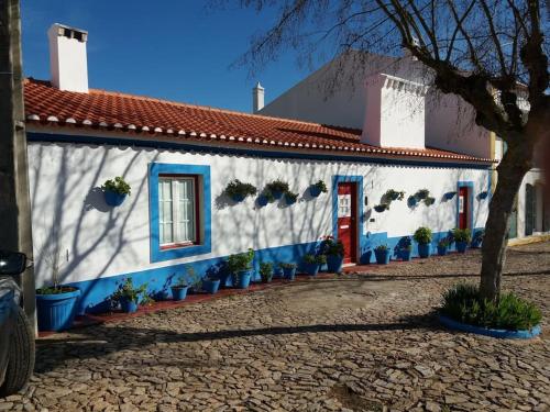 CASA DOS PECOXINHOS
