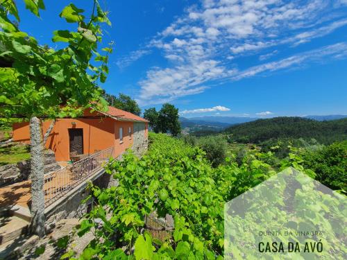 Image of Quinta da Vinagra