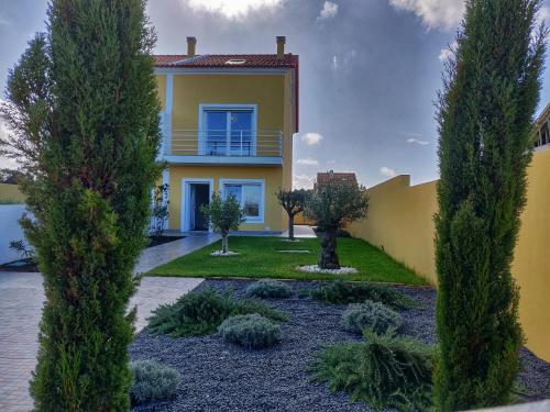 Image of The Olive Tree