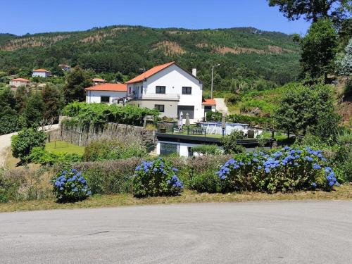 CASA RAIZ