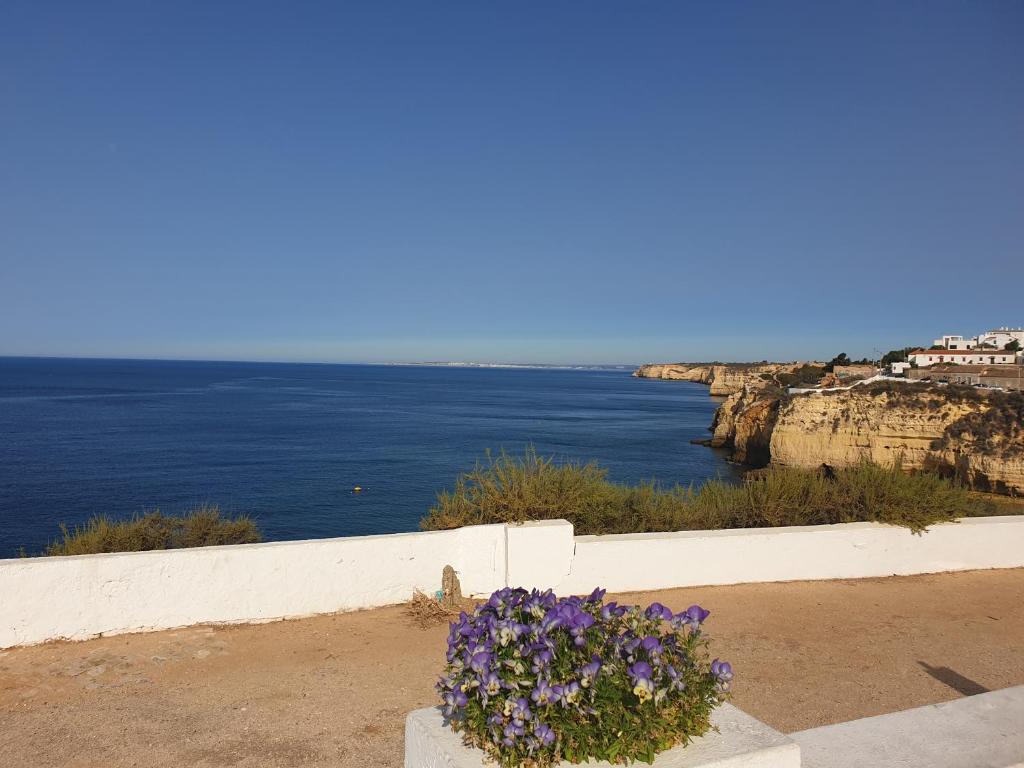 Image of Apt1Carvoeiro