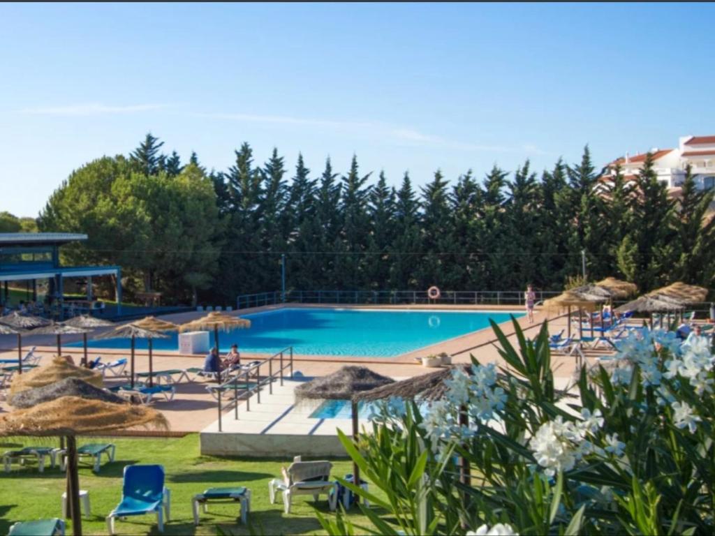 BELLEVIEW TWO