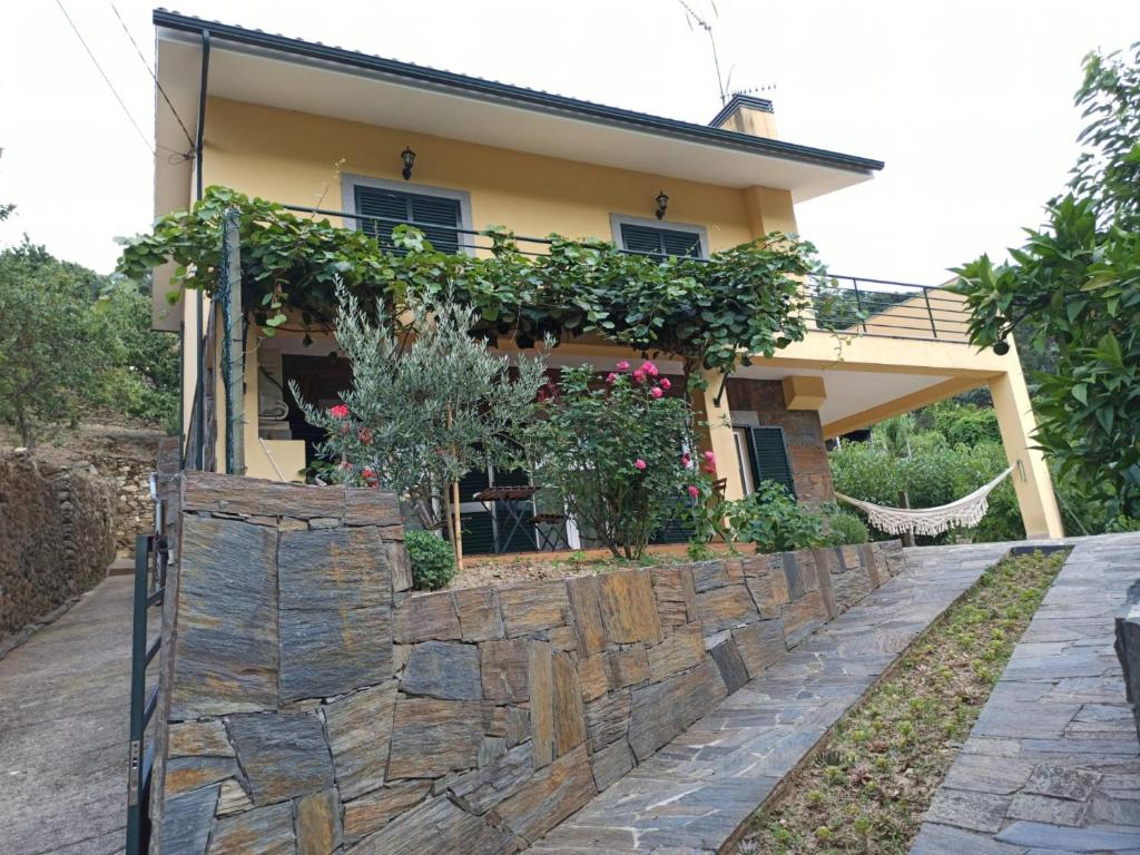 Image of Vineyards Valley House