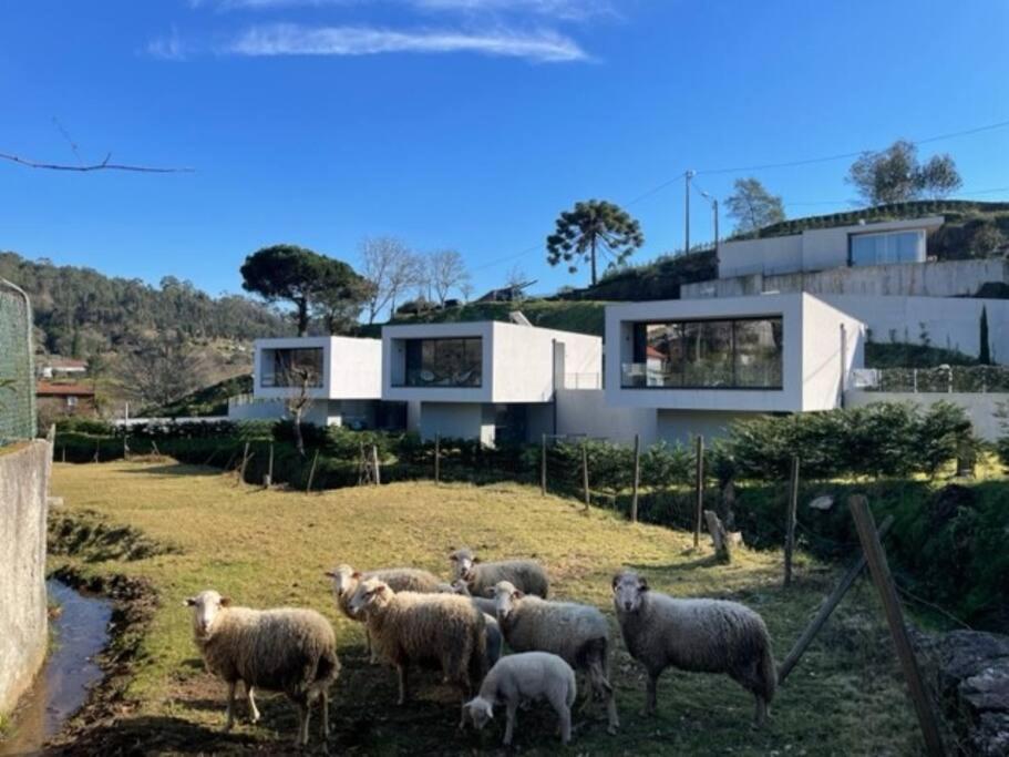 Image of Amonde Village - Casa A
