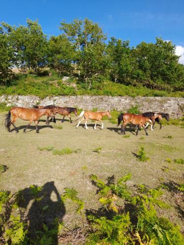 Image of Quinta do Sameiro