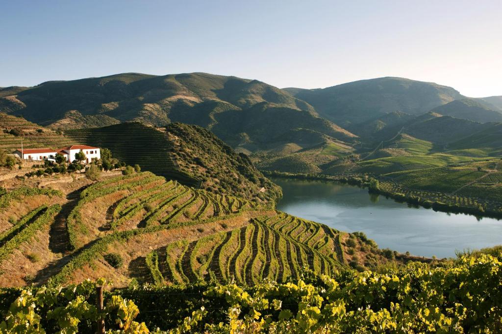 Image of Villa Auri
