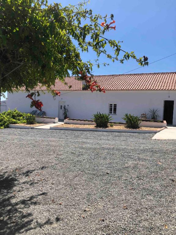 Image of Contramundo Corte Chã