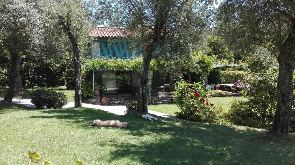 CASAS DA TAPADA - ESPIGUEIRO