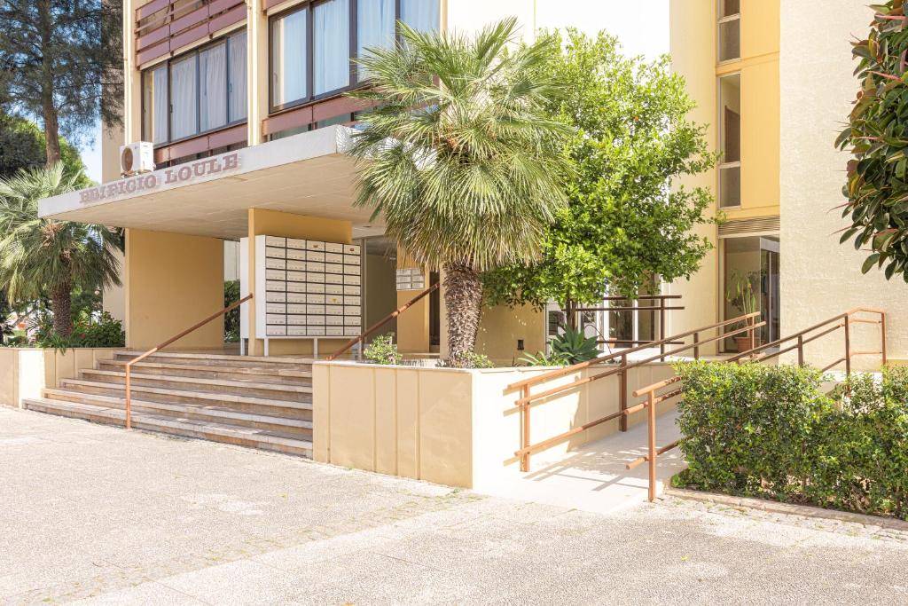 APARTAMENTO RAFAEL