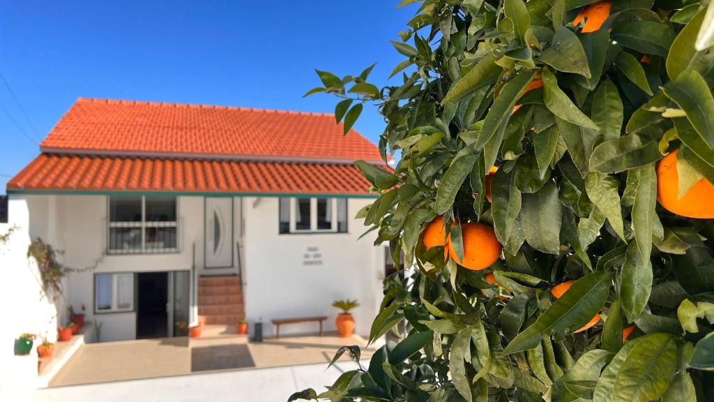 Image of CASA DO AVÔ PATRICIO