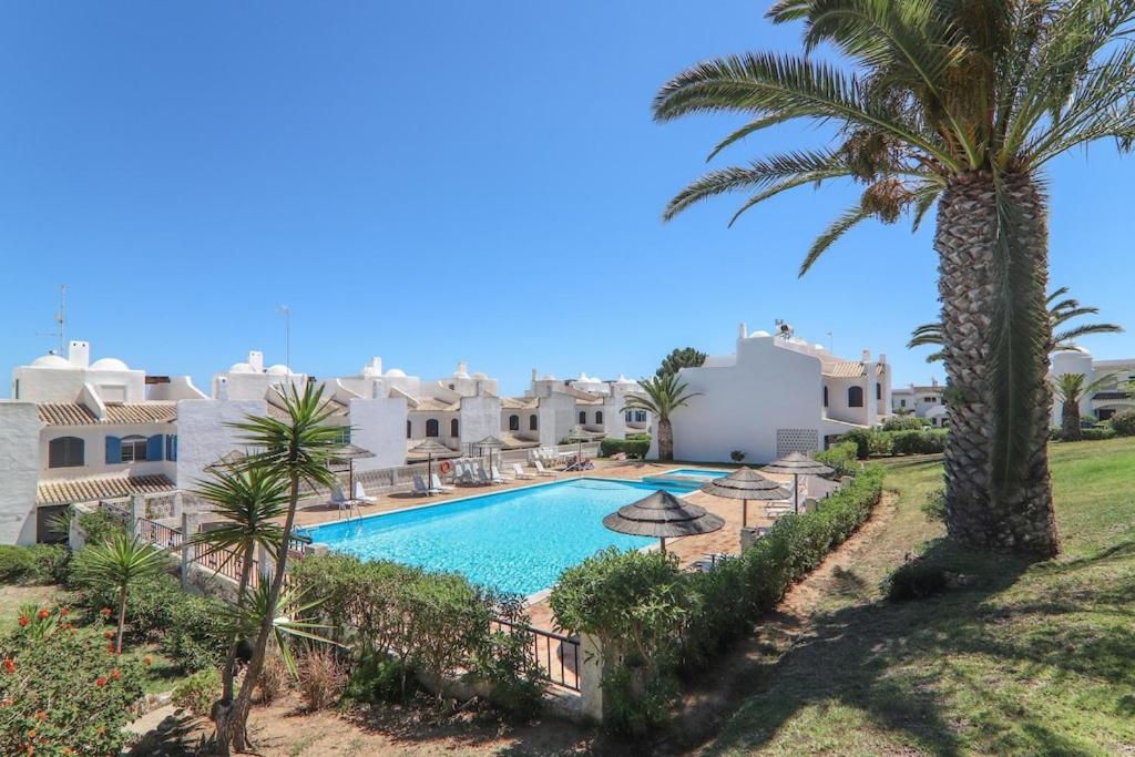 Image of Mourisca 837