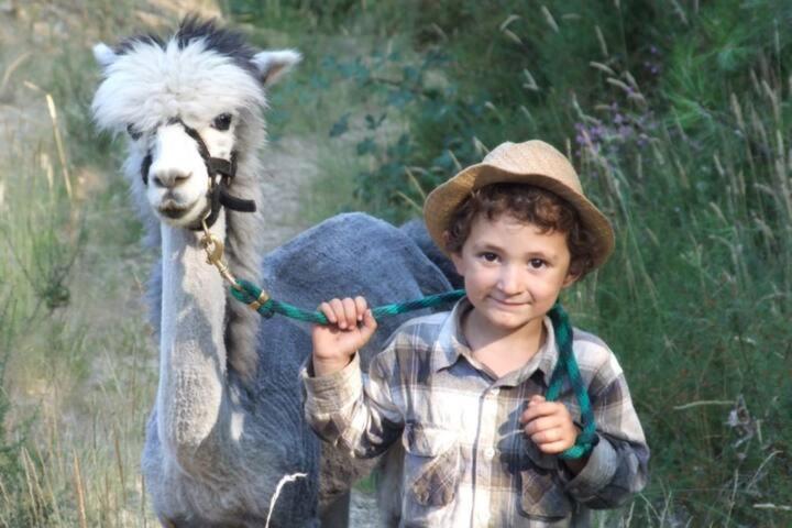 Image of Monte Frio Alpacas