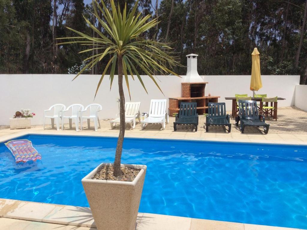 Image of Vila Floresta