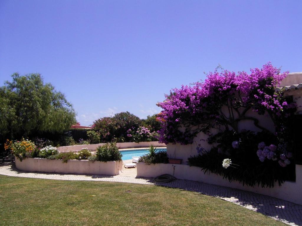 CASA GIRASSOL
