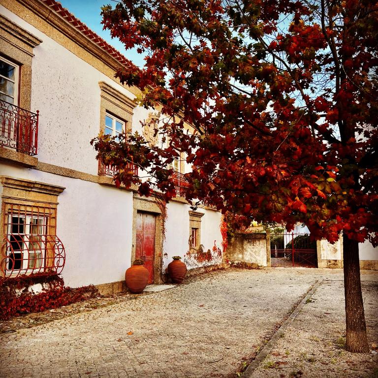 Image of Quinta Solar