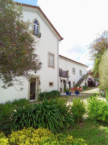 Image of CASA AGAPANTHUS
