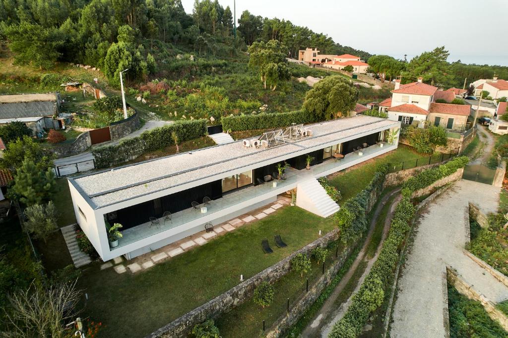 CASAL NO CAMPO - OVELHA