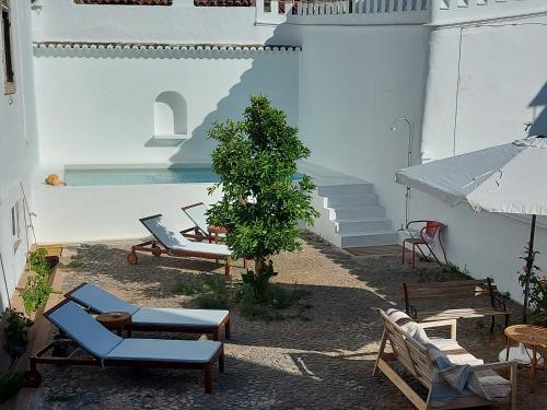 CASA ANCHA ESTÚDIO