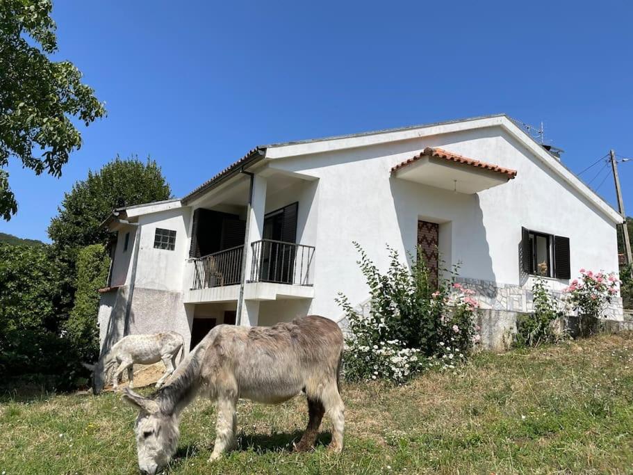 Image of Casa Morais