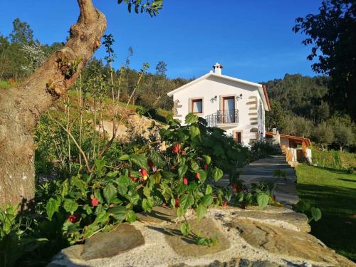 Image of Casa dos Avós