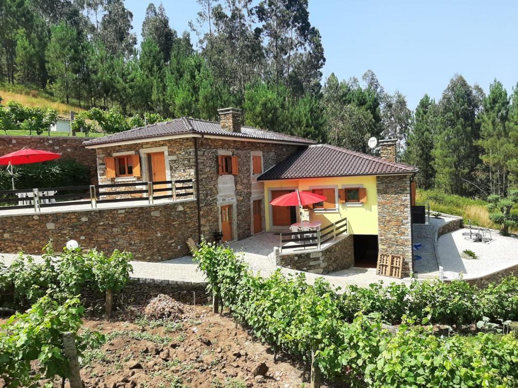 CASTANHEIRAS 3