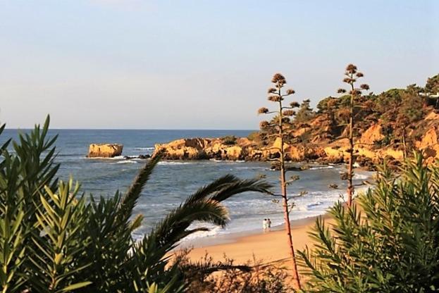 ALGARVE SUNNY APARTMENT