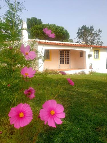 Image of Sondela Self Catering