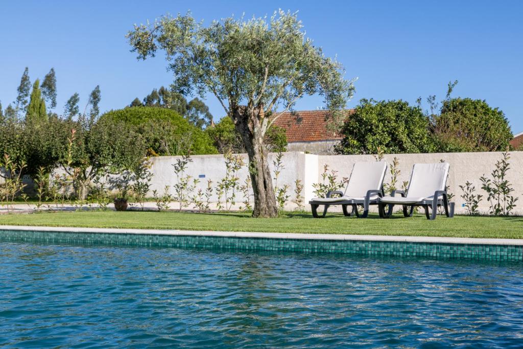 Image of CASA BO