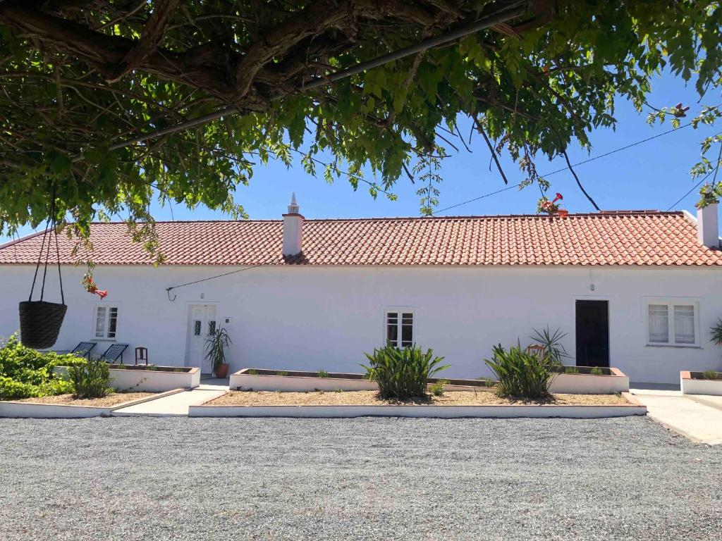 Image of Quinta da Corte
