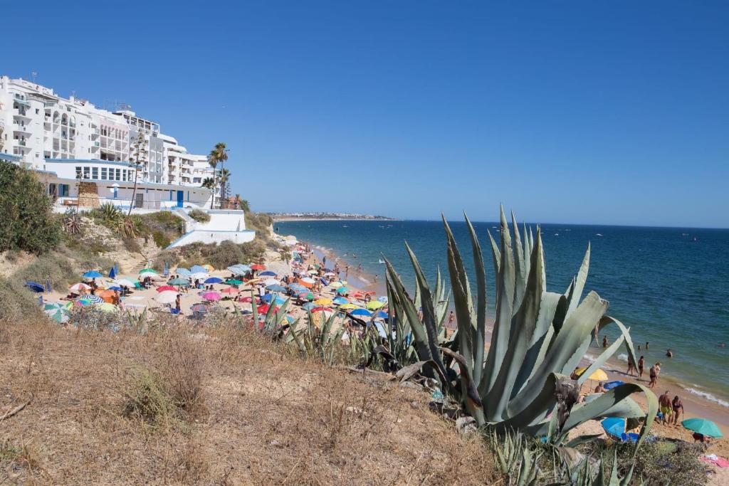 Image of HORIZON ALGARVE