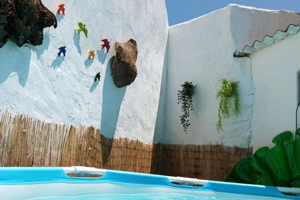 Image of Casa dos Cardos